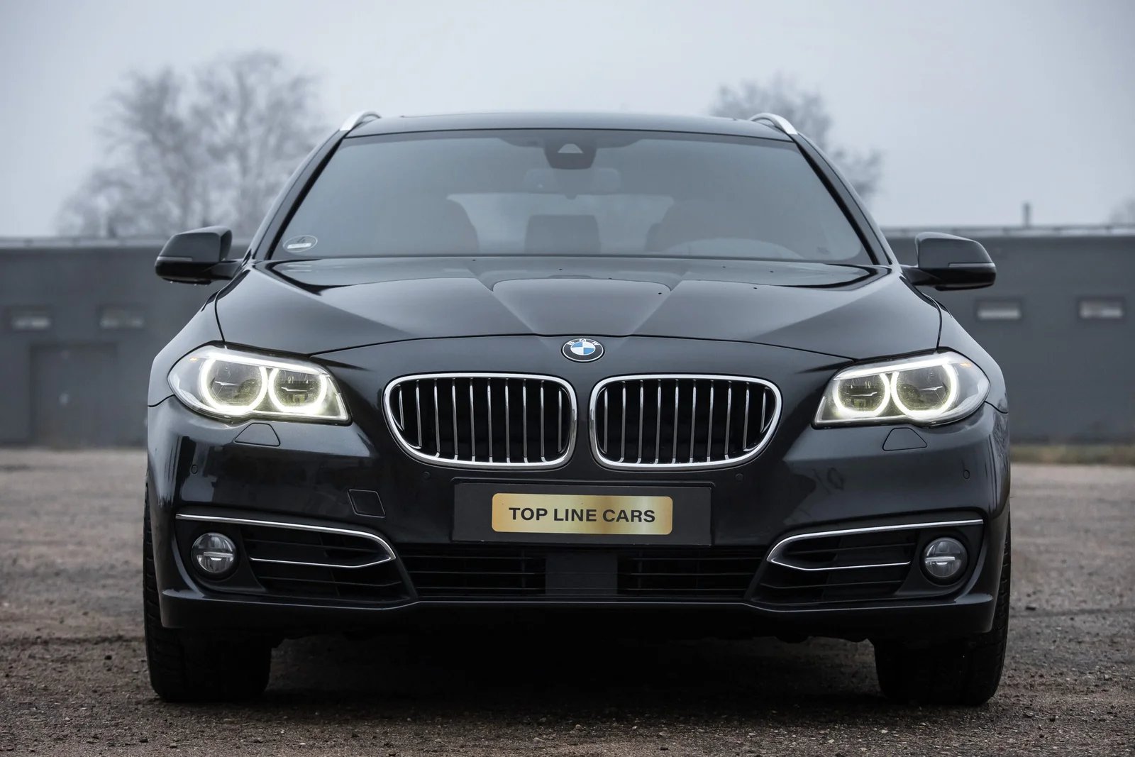 BMW INDIVIDUAL F11 530D 30D 190KW FACELIFT