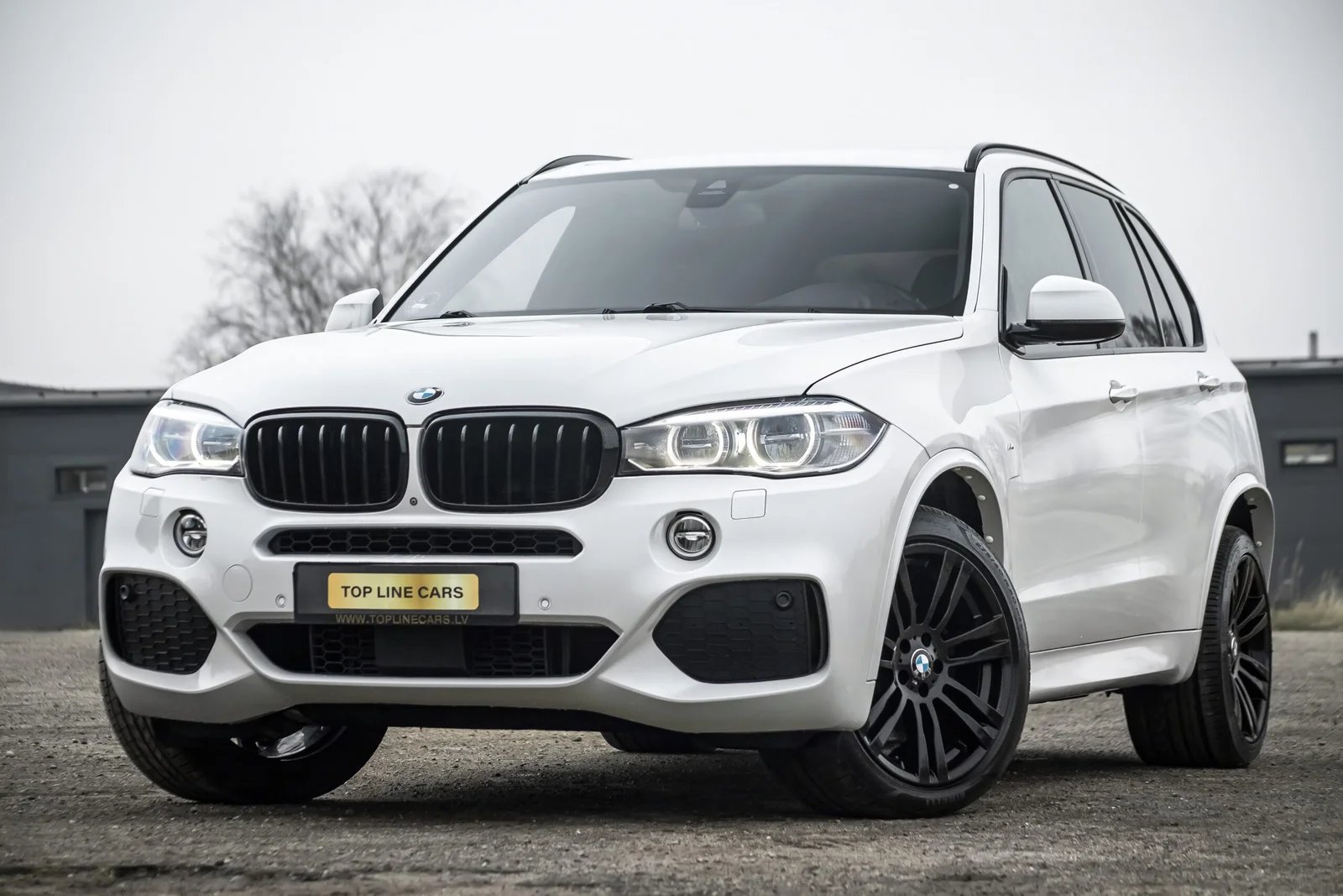 BMW X5 F15 3.0D 40D 230KW M-SPORTPAKET