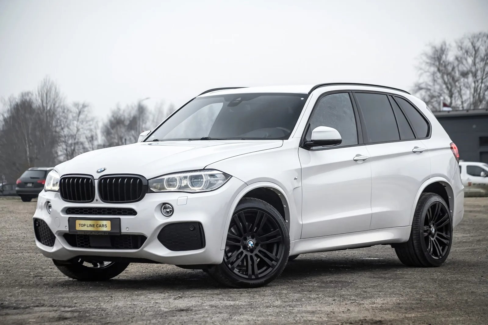 BMW X5 F15 3.0D 40D 230KW M-SPORTPAKET