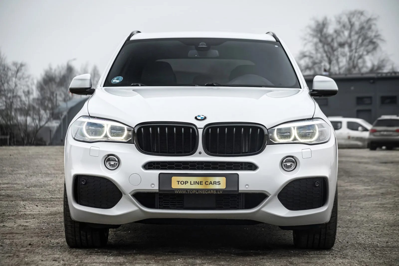 BMW X5 F15 3.0D 40D 230KW M-SPORTPAKET
